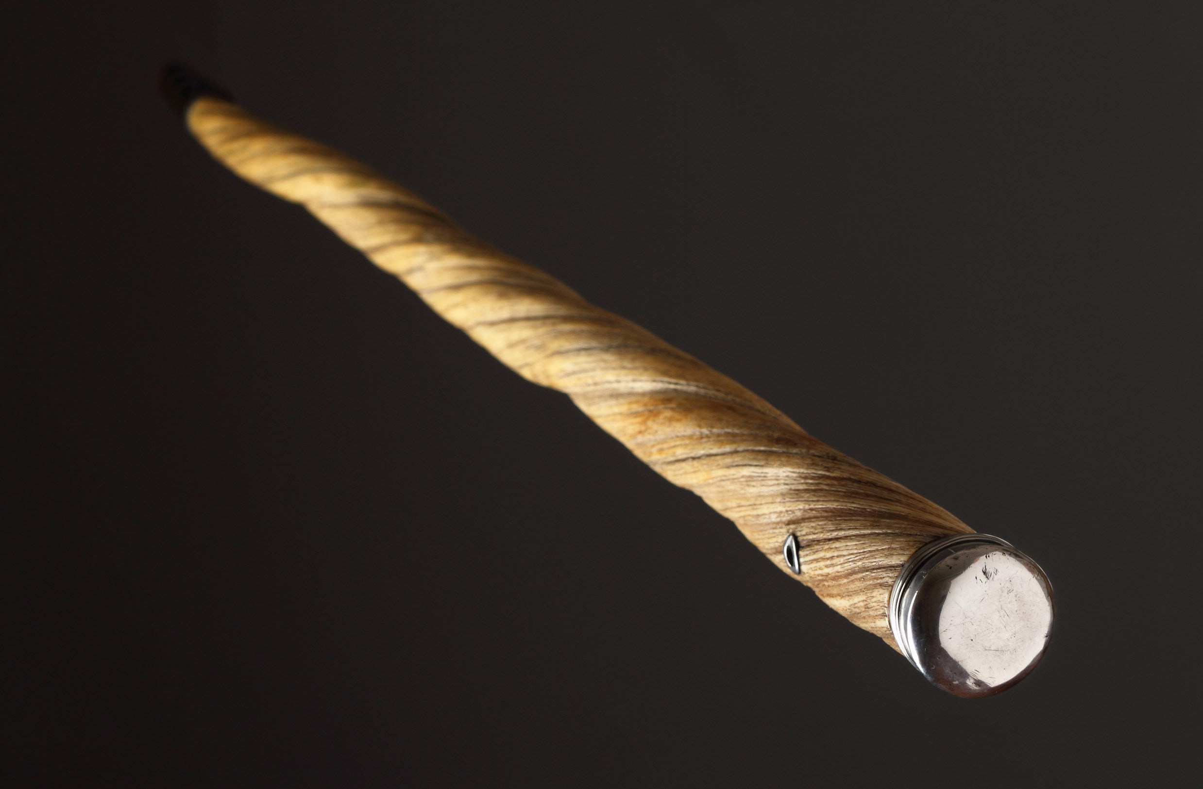 narwhal tusk cane