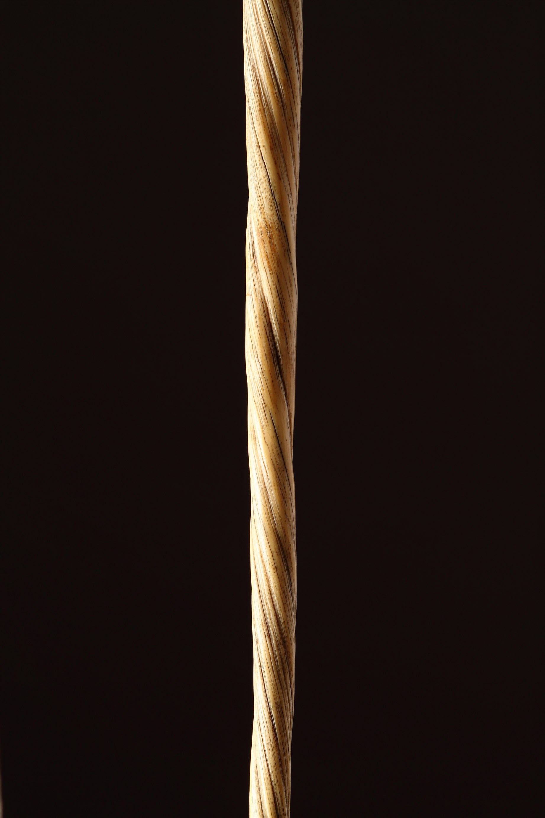 narwhal tusk cane