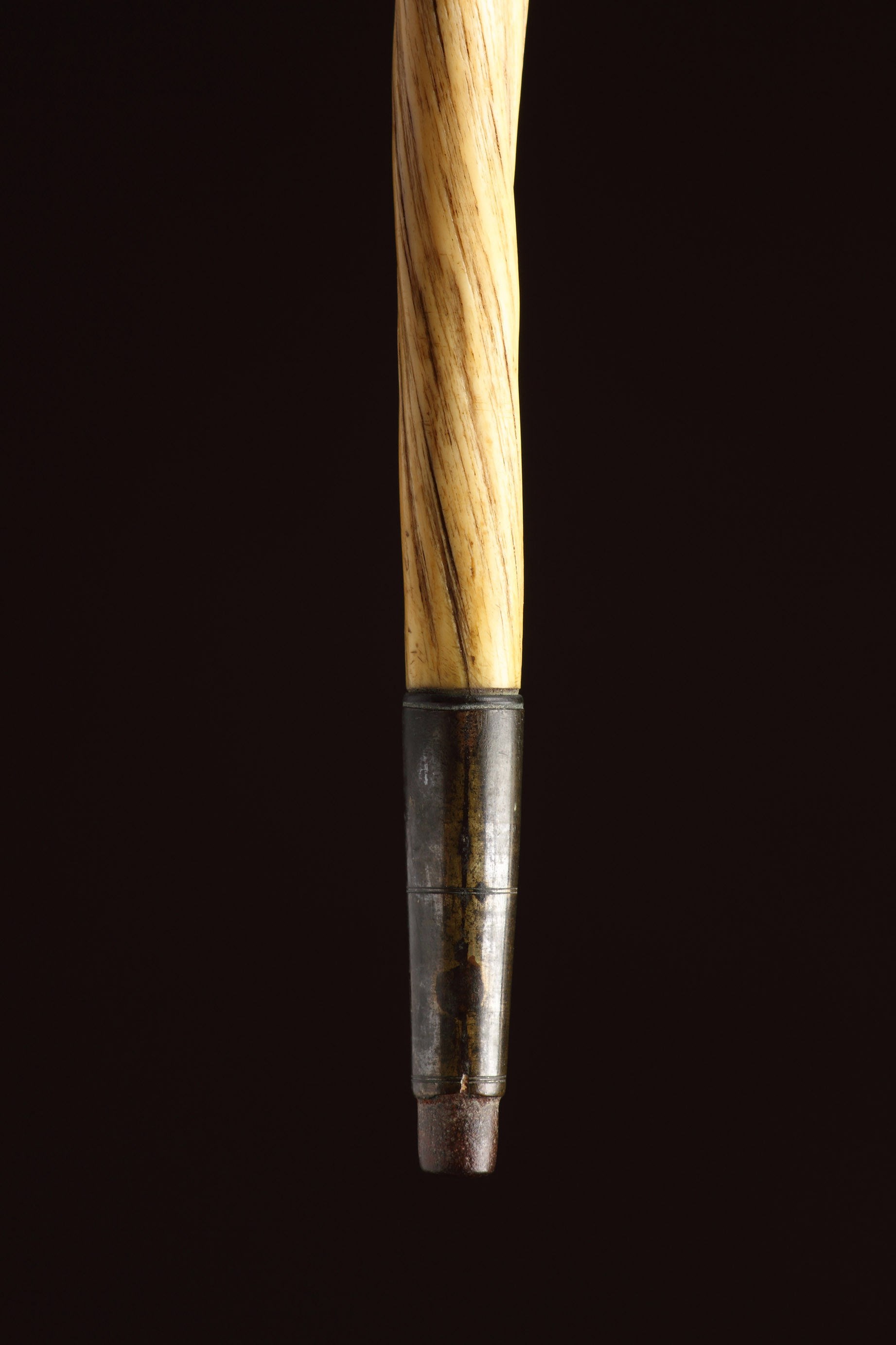 narwhal tusk cane