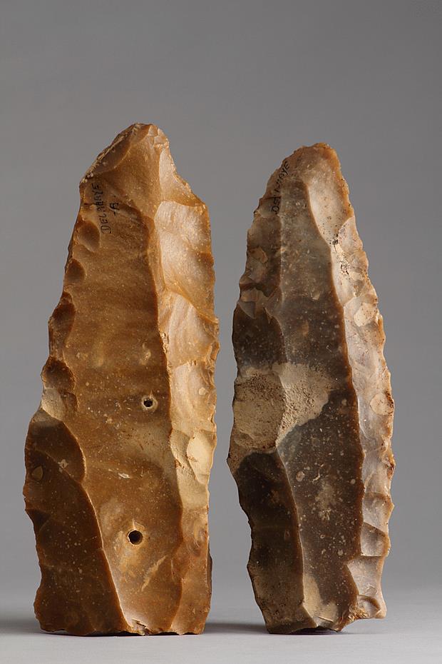 Two Prehistoric Neolithic Stone Age Prepared Flint Blade Cores - Two