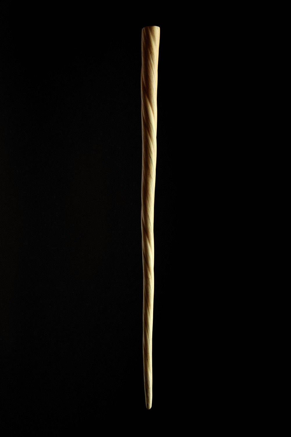 narwhal tusk cane