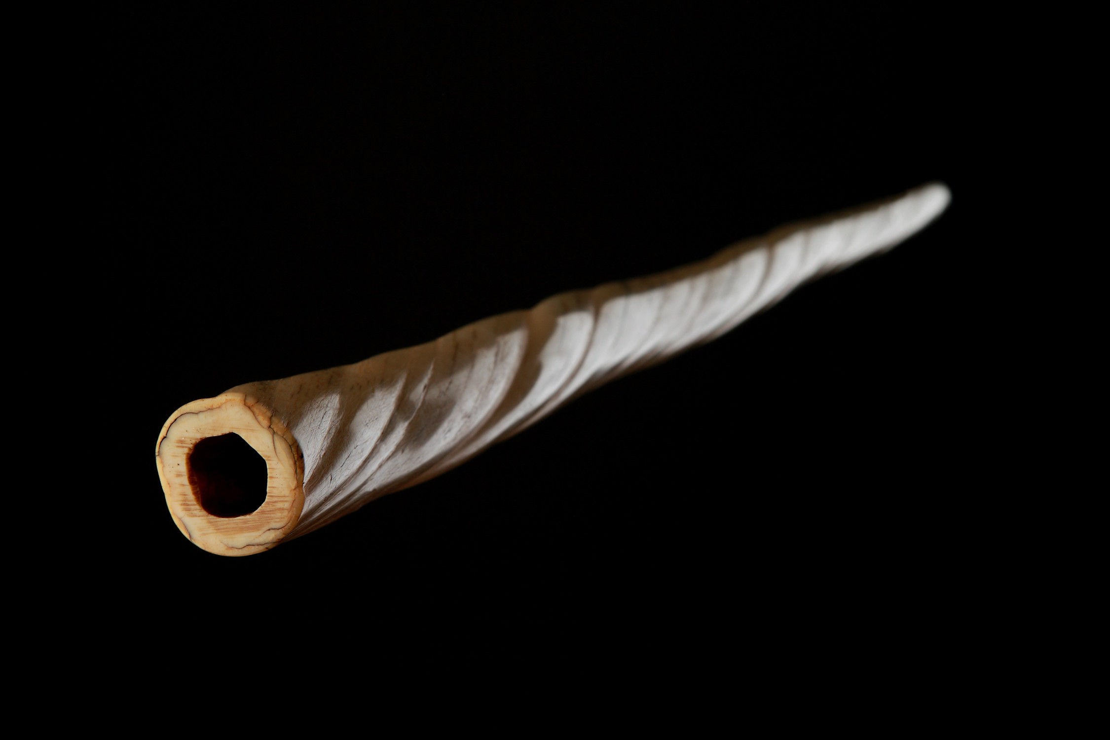 narwhal tusk cane