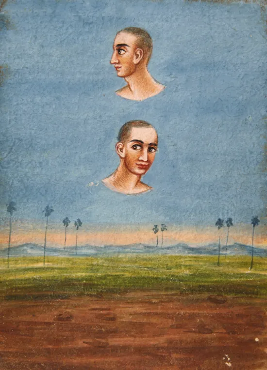 Main image