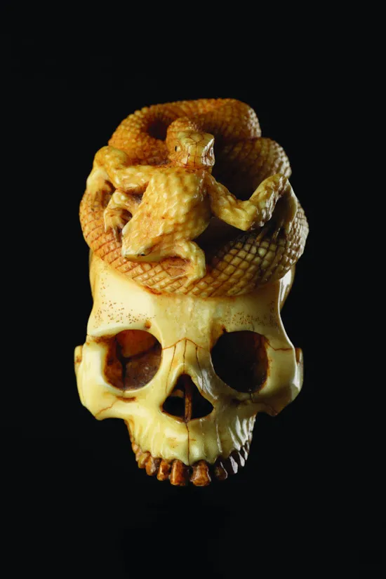 Main image