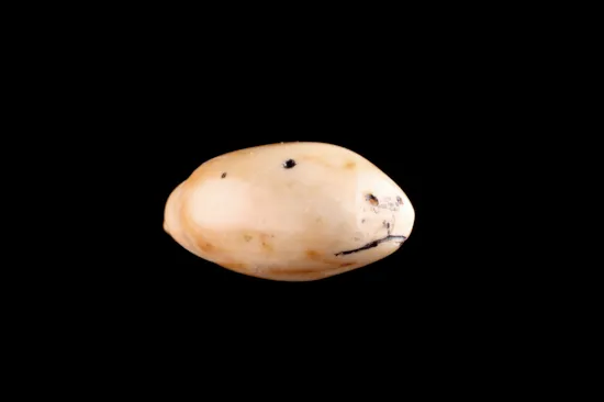 Mini image