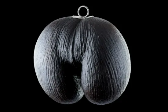 Mini image