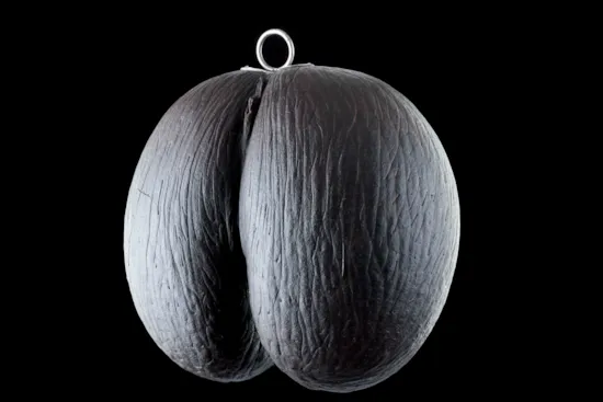 Mini image