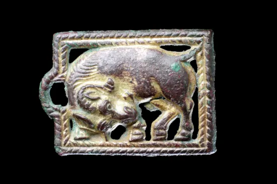 Mini image