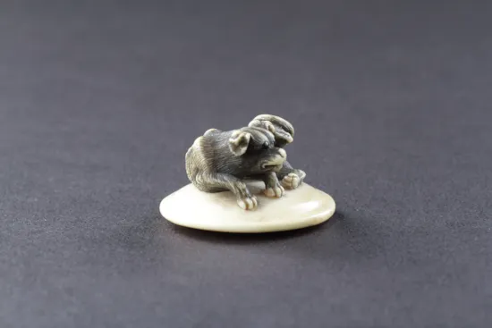 Mini image