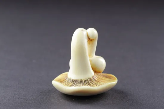 Mini image
