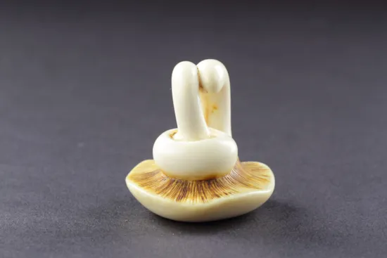 Mini image