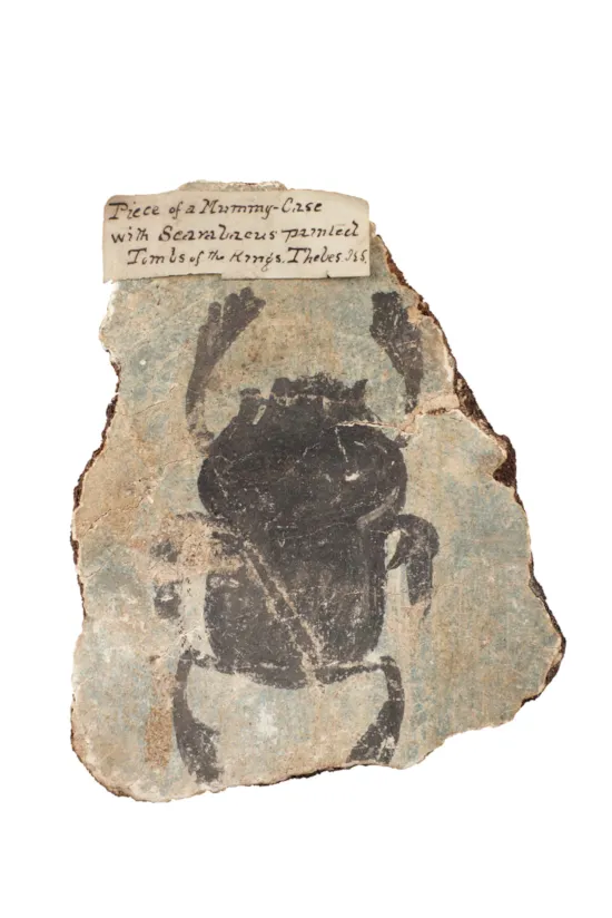Main image