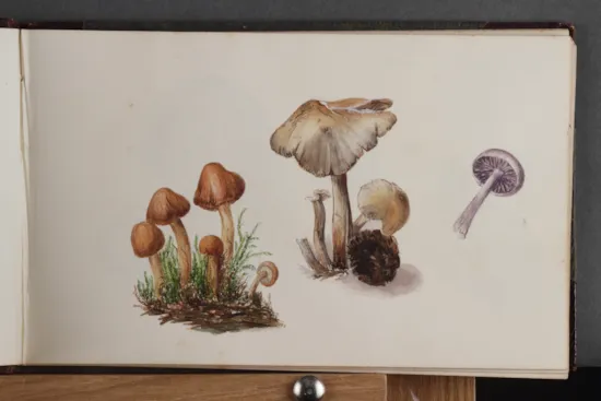Mini image