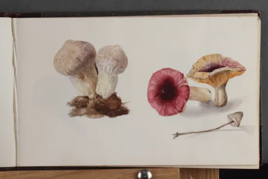 Mini image