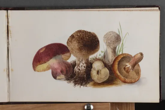 Mini image