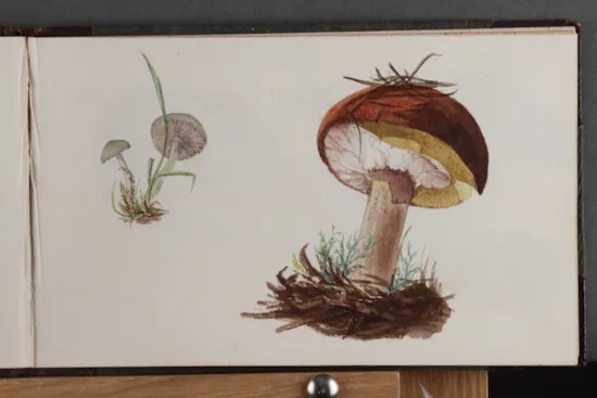 Mini image