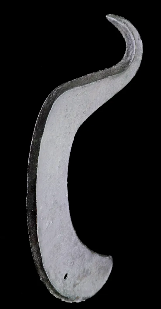 Mini image