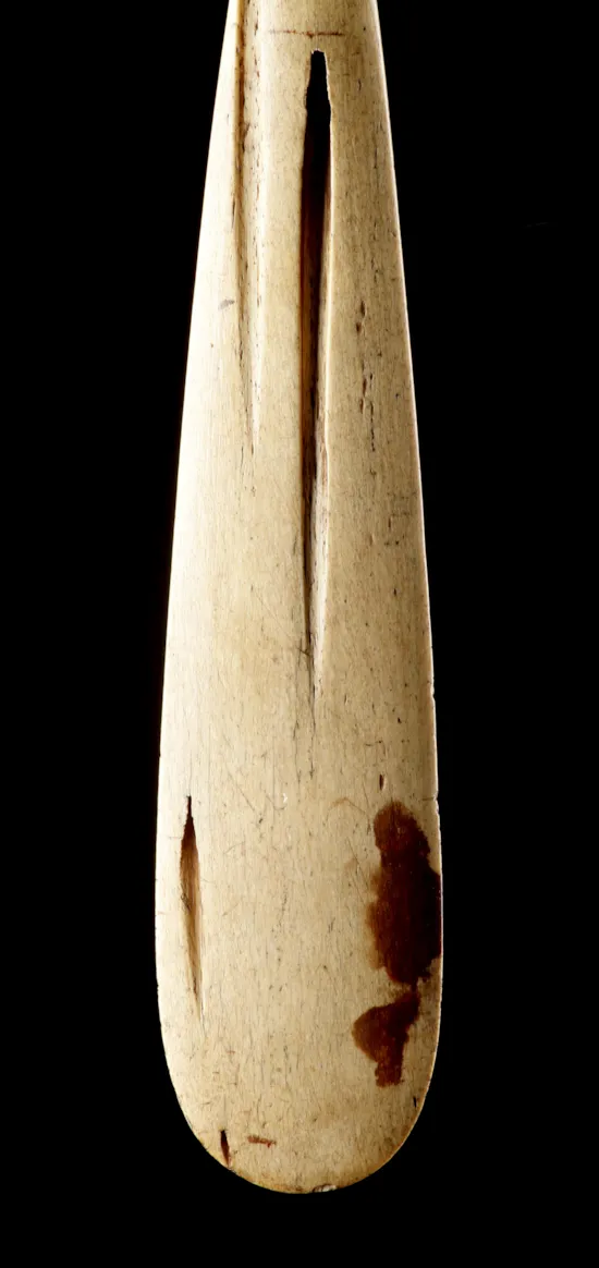 Mini image