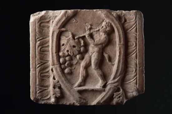 Main image