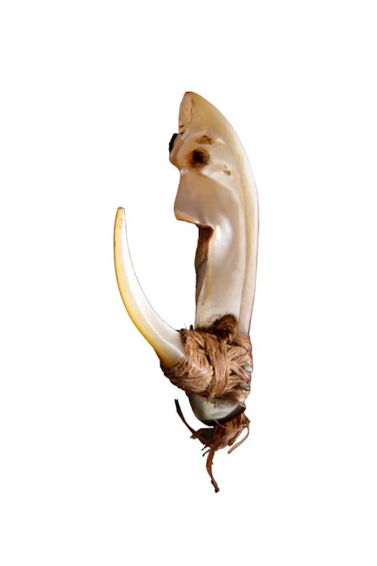 Mini image