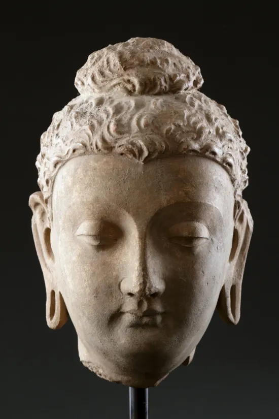 Main image