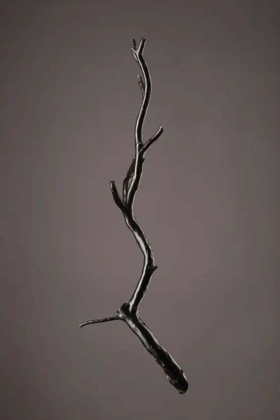 Mini image