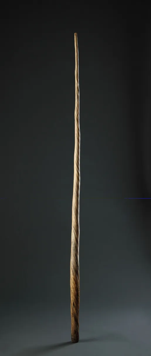 Inventory item