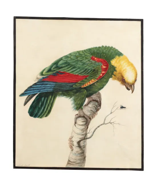 Main image