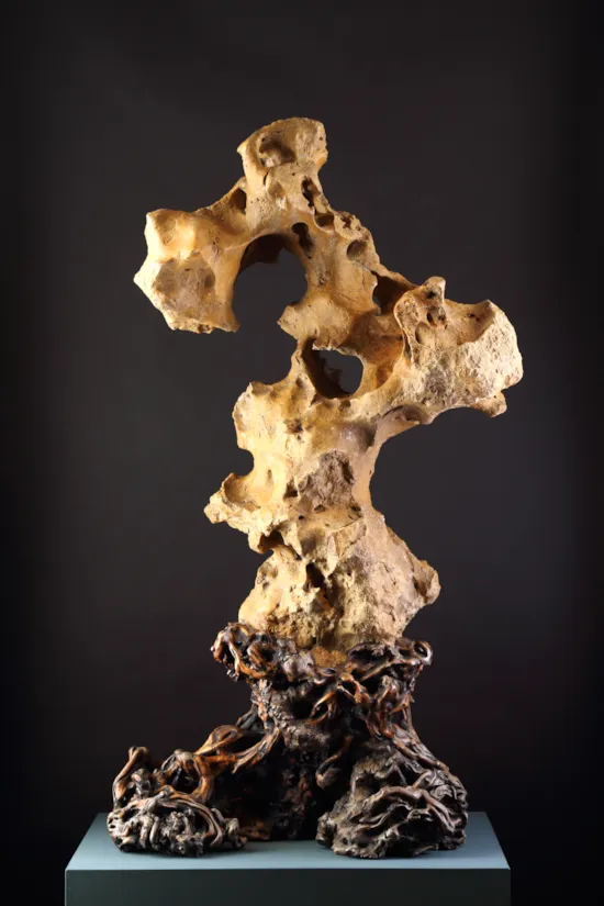 Main image