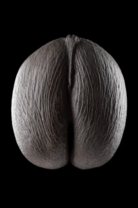 Mini image