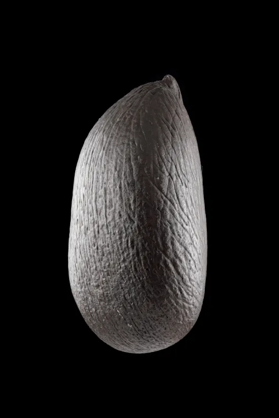 Mini image