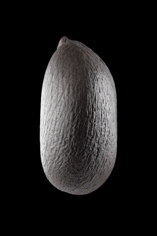 Mini image