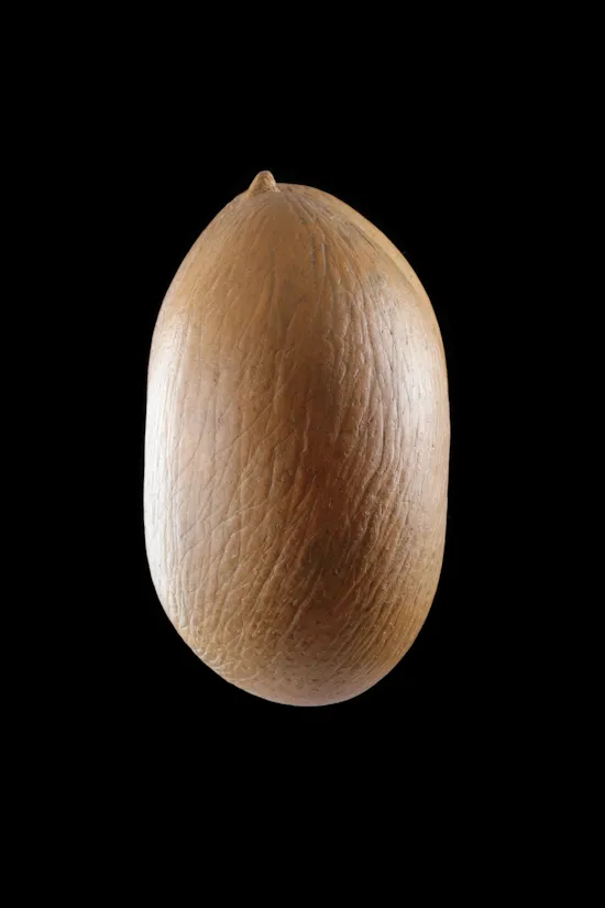 Mini image